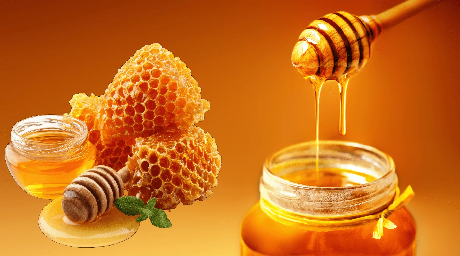 Pure Natural Honey 250g