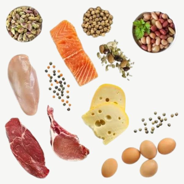 Protein Foods